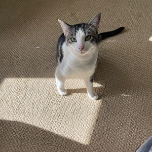 Meet your Posher, Austin